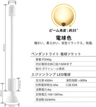 Lade das Bild in den Galerie-Viewer, ダクトレール照明 スポットライト E26口金 PAR20 ホワイト