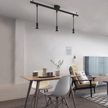 Lade das Bild in den Galerie-Viewer, ダクトレール照明 スポットライト E26口金 PAR20 ブラック