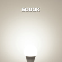 Cargar imagen en el visor de la galería, LED電球 E26口金 60W形相当 806LM