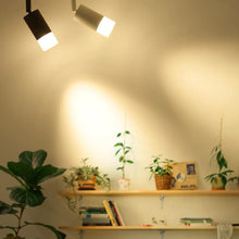 Cargar imagen en el visor de la galería, ライティングレール用 ledスポットライト 1000LM