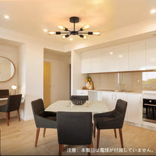 Lade das Bild in den Galerie-Viewer, ペンダントライト シーリングライト 照明器具 リビング 吊り下げ E26口金