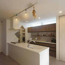 Lade das Bild in den Galerie-Viewer, ダクトレール照明 スポットライト E26口金