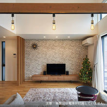 Cargar imagen en el visor de la galería, ダクトレール照明 スポットライト E26口金