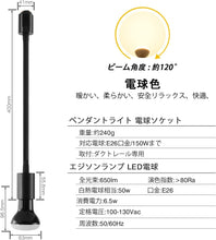 Lade das Bild in den Galerie-Viewer, ダクトレール照明 スポットライト E26口金 R20