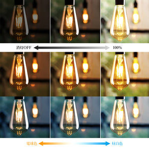 LED電球 ST21 E26口金 調光 調色 LEDランプ 遠隔操作